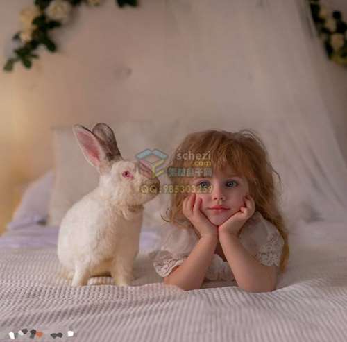 013946im8my8o8bdqynu1l