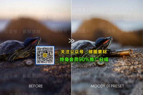 1593504600-bd627daebc5f19c