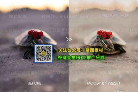 1593504653-fb3e8ccfec93ff8