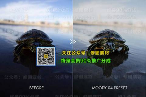 1593504663-c23e1fe9d0cd66f