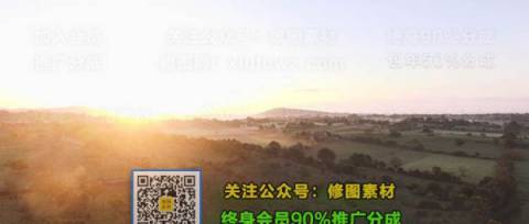 1593506739-517613bf7cd833c