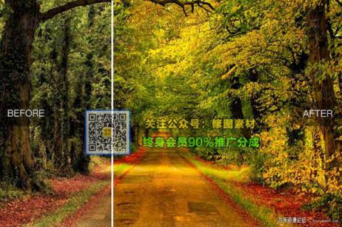 1593509237-51229a5217eed01