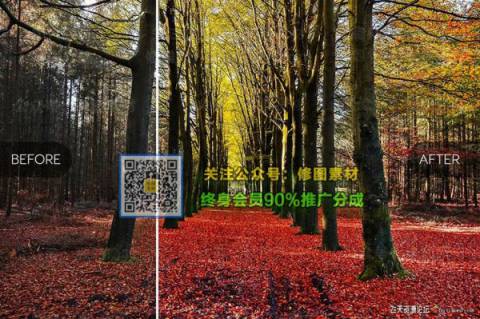 1593509242-74d4d1a30068681 1593509242-74d4d1a30068681