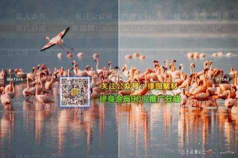 1593509585-9f62160303cb7c1