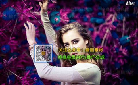 1593509868-24471a3656071e9