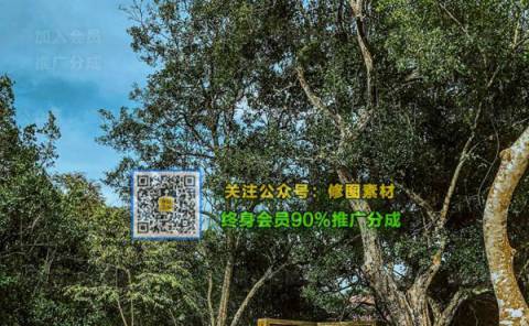 1593510956-d74034de9b97ee0