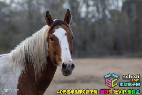 1593525854-e7db2d939e48f50