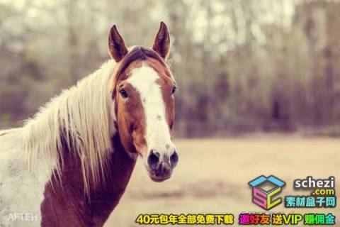 1593525854-eb5fc14572697f0