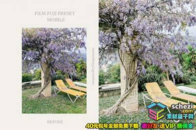 1593528146-bf69dd5927eea4e