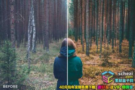 1593528286-d2ac89a4b72eed0