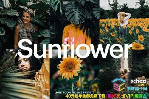 1593554654-3d7ee9251f0a2a2