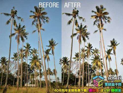 1593555385-88b0255888b1089