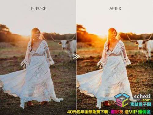 1593556453-4caaf3ad2068196