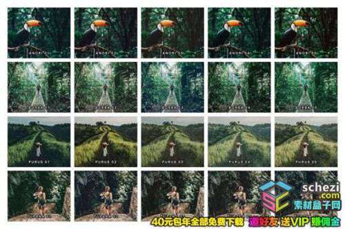 1593567919-11e32f0b59cd507