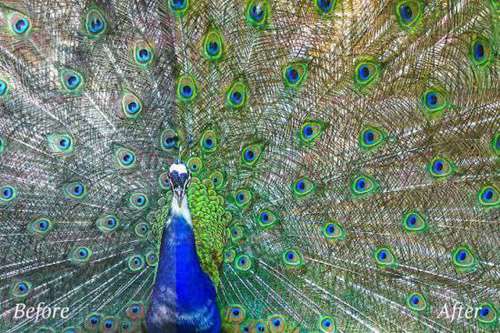 1593606816-08278098891eab1