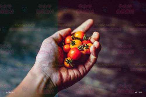 1593607417-4fd1d66e91074b9