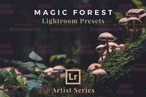 1593607560-045d6a89c5f9ca5 1593607560-045d6a89c5f9ca5