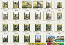 1593752117-541dbca98f6345b