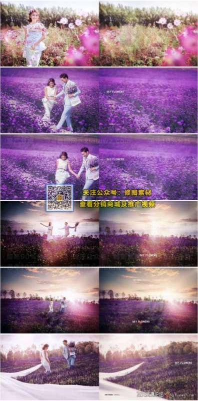 1595054867-cb222417b29b430