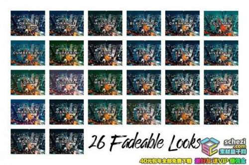 1595392732-71b64f88f915635