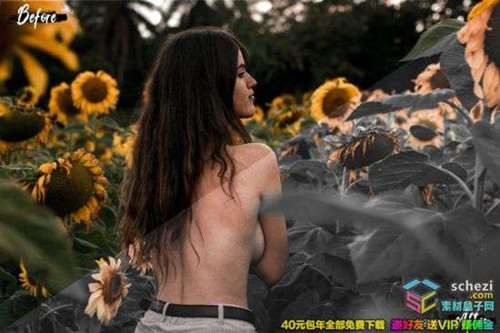 1595393766-651529d27490423