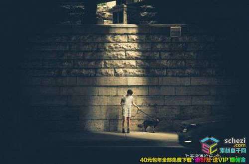 1595394268-31e416381f7d60c