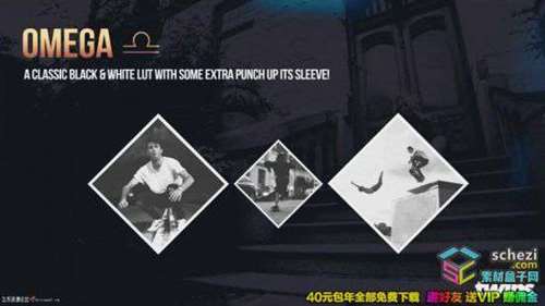 1595395949-8d7ae0212819bf8