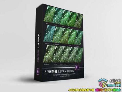 1595396873-743d1f4610b5a4a