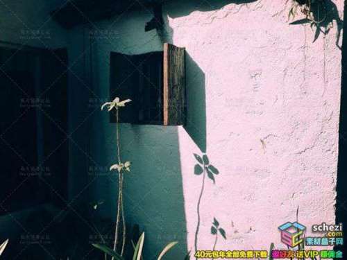 1595398295-e2e848aa369cc9c 1595398295-e2e848aa369cc9c