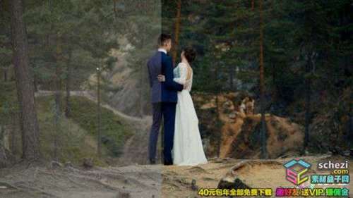 1595398531-d14cd033d26f33c