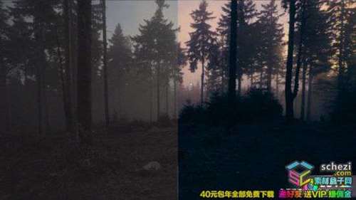 1595398532-26193c6b7f92d70