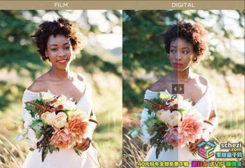 1595398782-c18cbab8197a15c