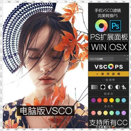 ps插件VSCO电脑版137款滤镜-VSCO调色扩展面板-(MacOSX系统)