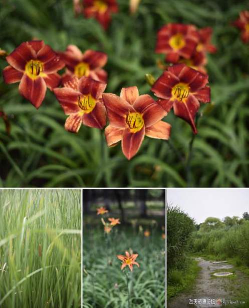 摄影RAW原图下载-D750拍的几张风景RAW原图分享给大家