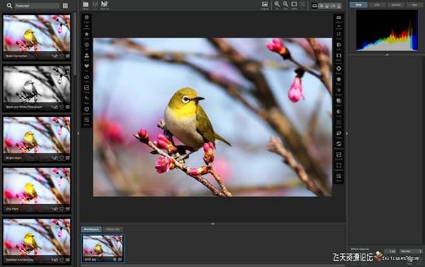 ps插件Topaz Studio 2破解版|Topaz Studio2.2(创意照片编辑插件)正式破解版-ps滤镜插件