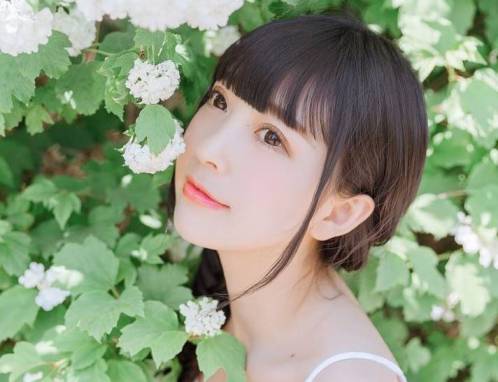 lr预设550款日系小清新人像lightroom预设