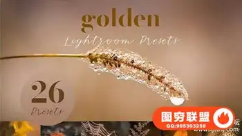 26个秋季微距风光金色调Lightroom/PS预设