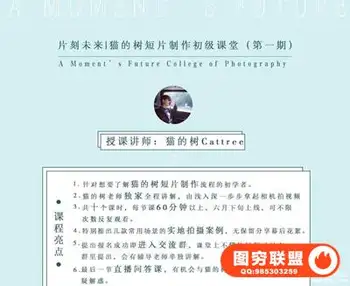 《猫的树》| 短片视频(微电影)拍摄制作初级
