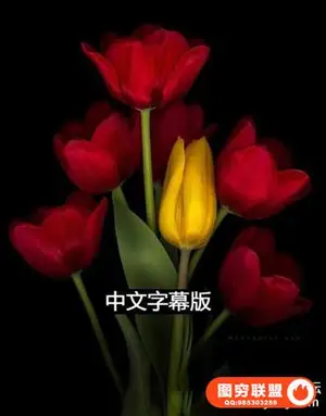 KelbyOne -Melanie Kern-Favilla 花卉静物微距摄影教程-中文字幕