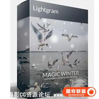 Lightgram出品 Magic Winter雪景预设包(含笔刷)