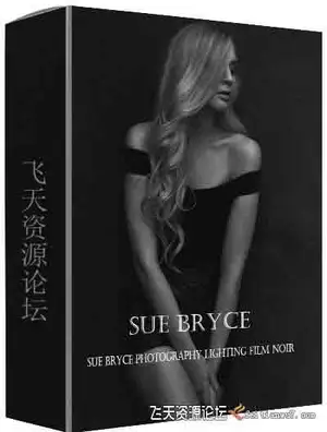 [人像]摄影师 Sue Bryce 如何用自然光创建黑暗低光照电影图像-中文字幕