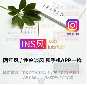 [日系|网红-lut预设]38款INS风网红调色ps预设性冷淡风滤镜LUTs预设