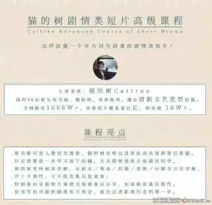 猫的树最新高级短片教程