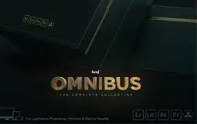 [预设合集-lut/lr预设]benj™ 100+城市街拍电影人像调色PS/LR/DNG手机LR/LUTS/预设
