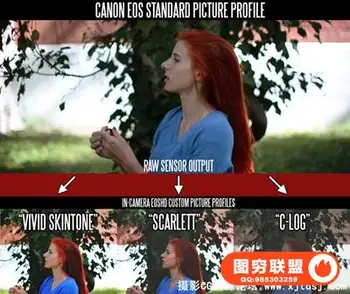 佳能EOSHD C-LOG和Film svipcuns Pack电影配置预设包