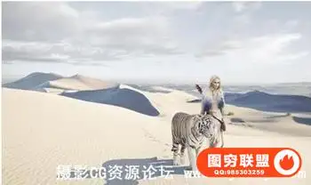 Erik Almas Photoshop Case Study – The Desert Tiger