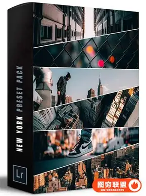 ins网红油管大神Alen Palander纽约旅行LR预设包-20 Premium Presets