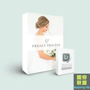 婚礼摄影师詹姆斯凯特琳后期工作流程Katelyn James KJ Preset Pr…