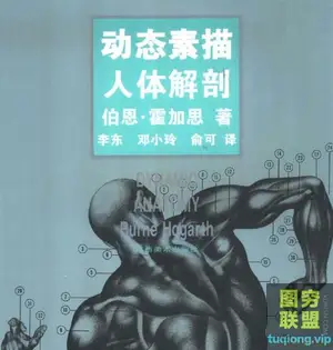 动态素描·人体解剖