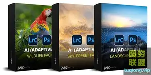 Matt K ACR Lightroom AI自适应预设包 英文版+汉化版